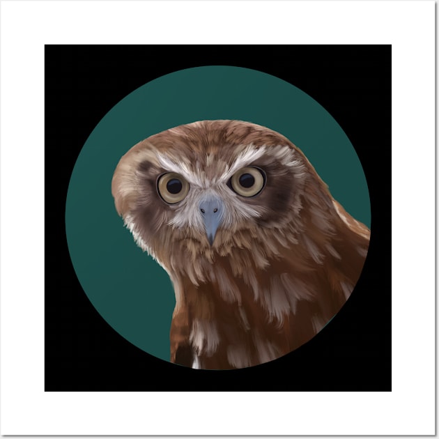 Funny Curious Burrowing Owl Wall Art by Suneldesigns